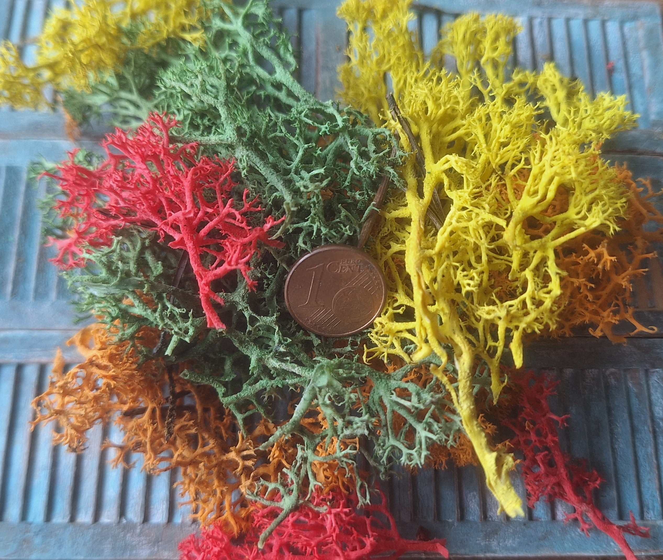 Takken, mossoorten en aanverwante natuurlijke materialen - Afbeelding 6